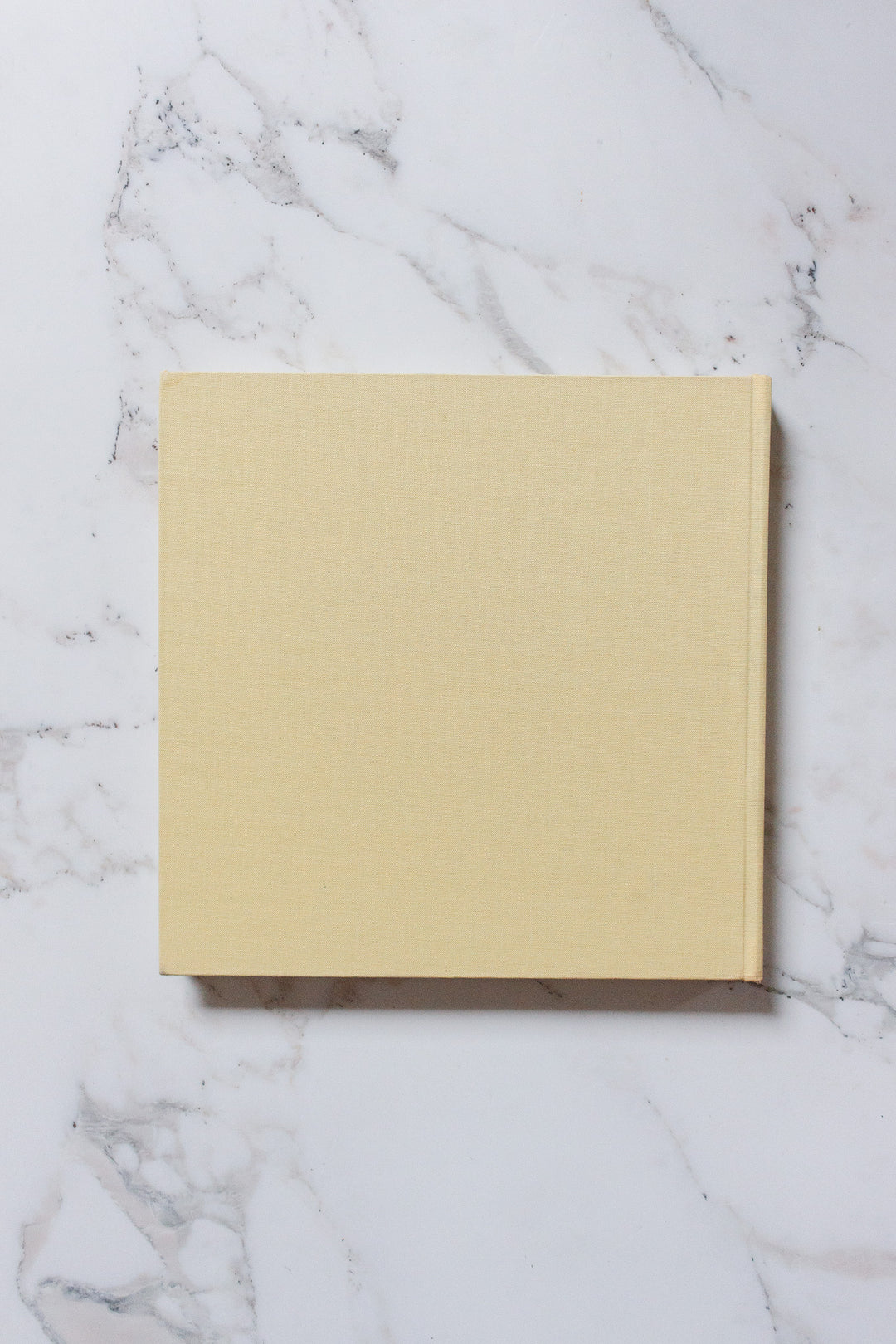 vintage art book, “100 great paintings in the Victoria & Albert museum"