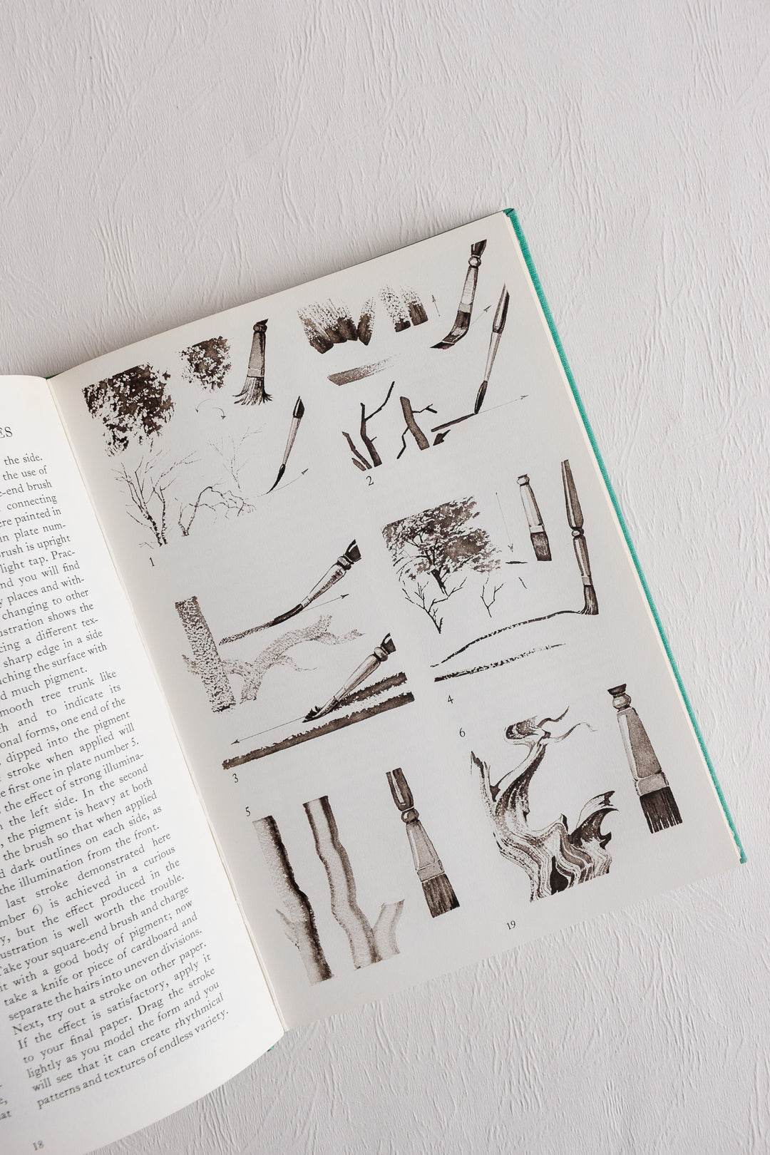 "trees and landscapes" vintage art book