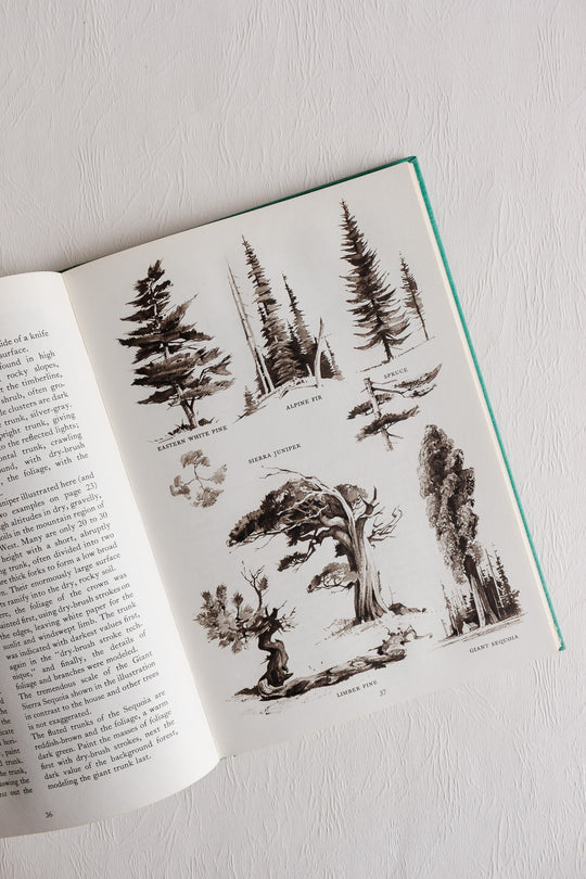 "trees and landscapes" vintage art book