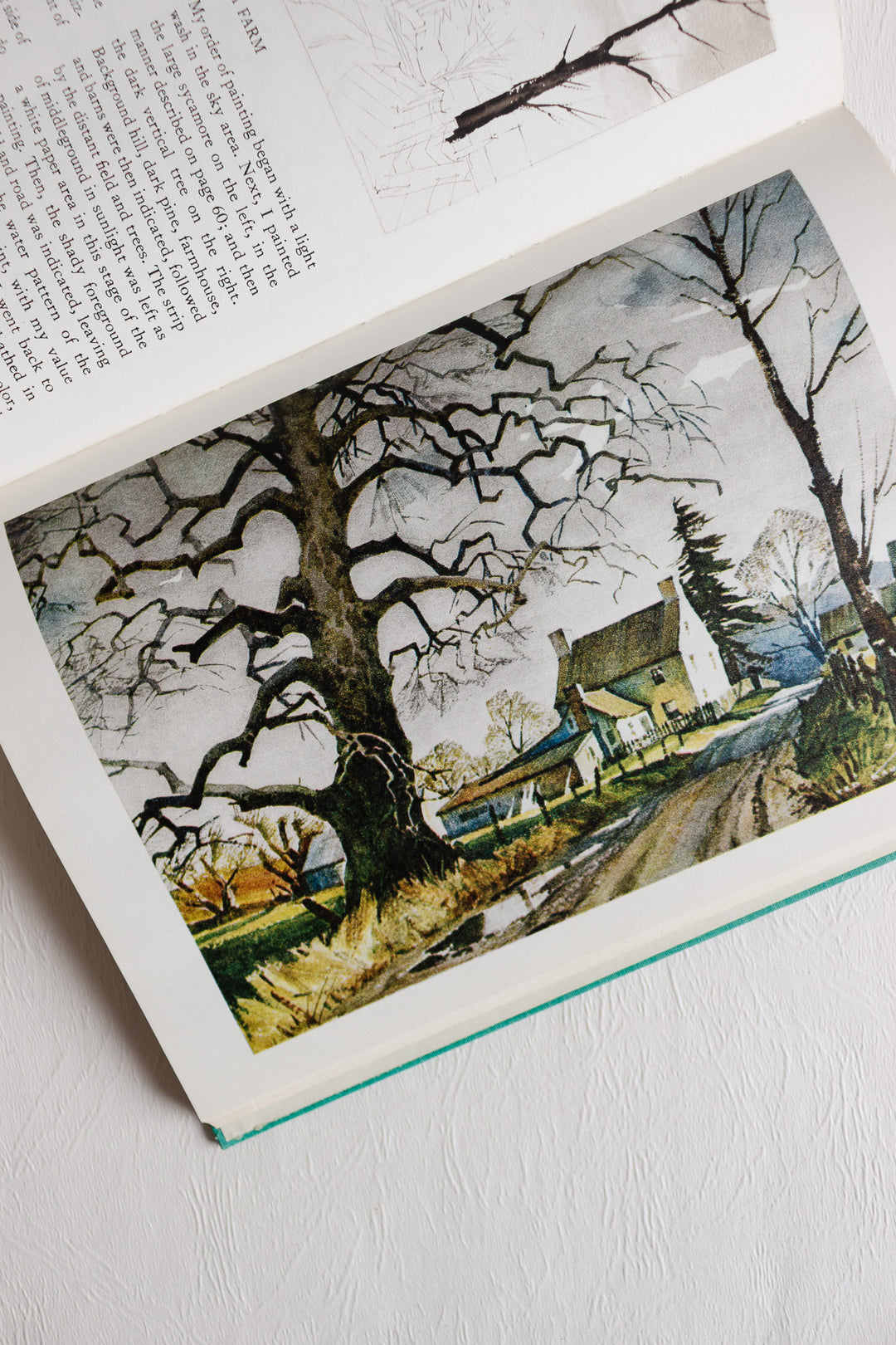 "trees and landscapes" vintage art book