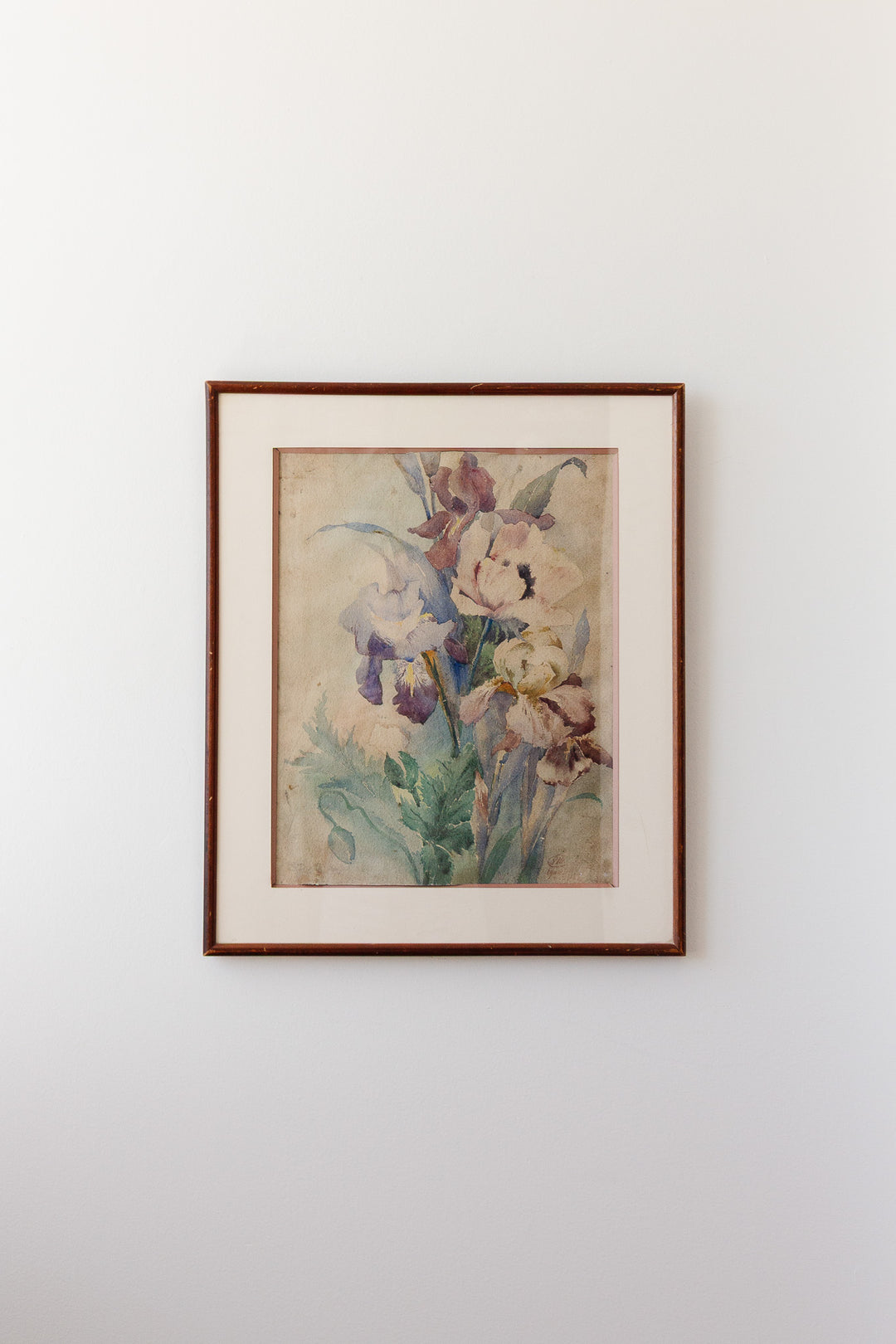 iris du début du siècle