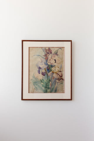 iris du début du siècle
