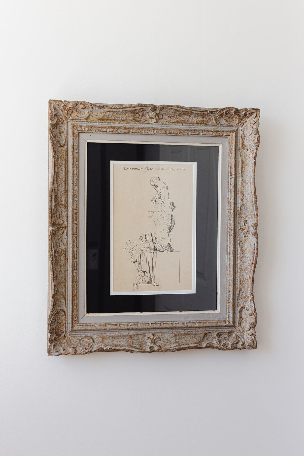 antique engraving “Laocoon”, artist’s study from “The Proportions of the Human Body”
