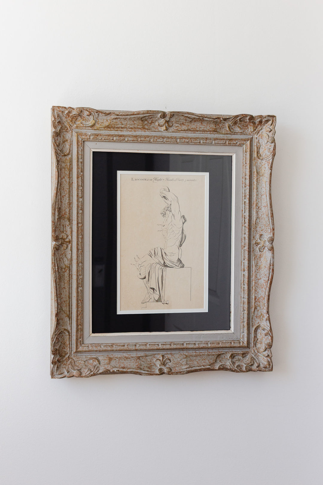 antique engraving “Laocoon”, artist’s study from “The Proportions of the Human Body”