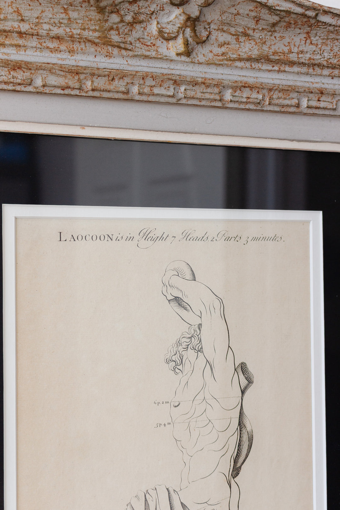 antique engraving “Laocoon”, artist’s study from “The Proportions of the Human Body”