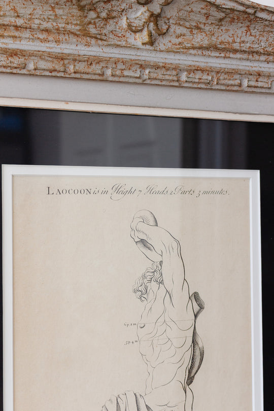 antique engraving “Laocoon”, artist’s study from “The Proportions of the Human Body”