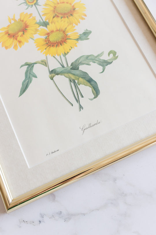 vintage framed floral lithograph by pj redouté