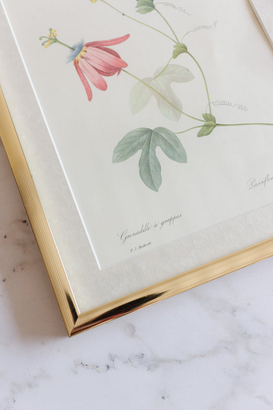 vintage framed floral lithograph by pj redouté
