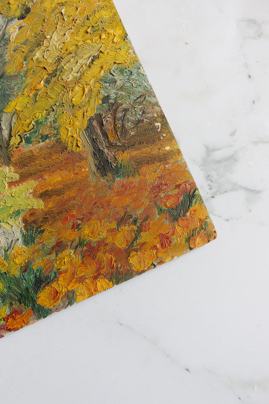 la forêt en automne
