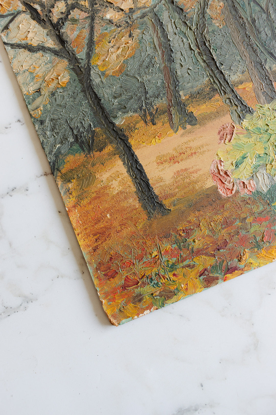 la forêt en automne