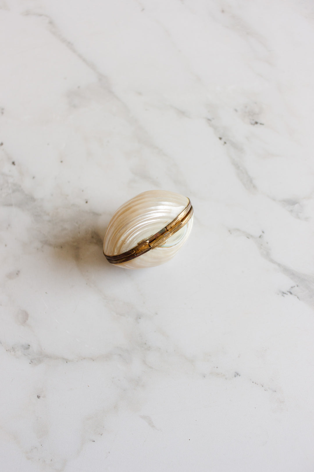 vintage french "coquillage" trinket box i