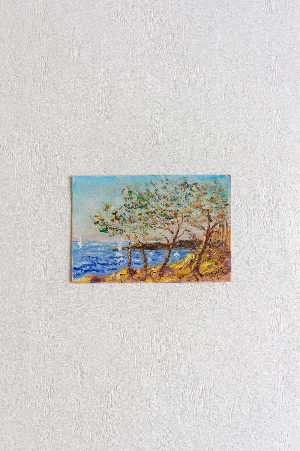arbre au bord de la mer