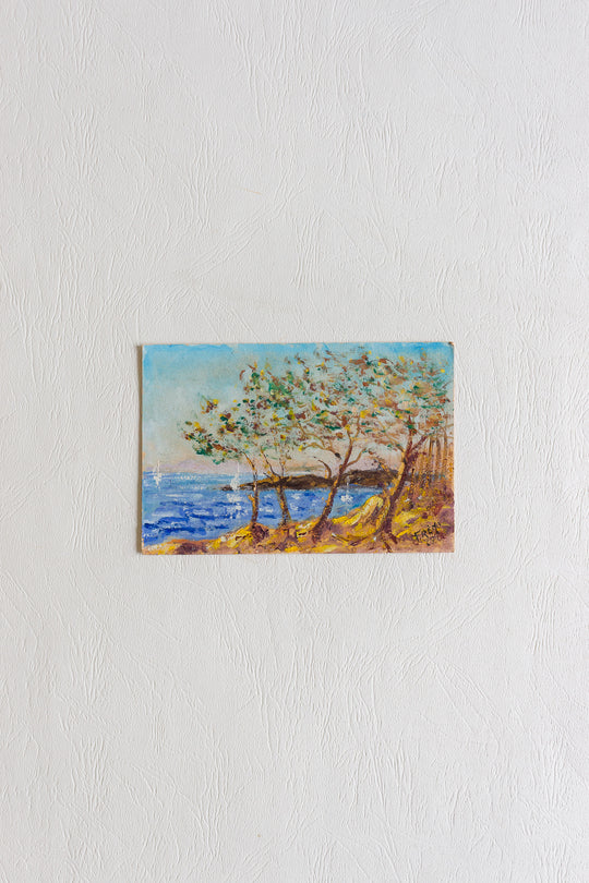 arbre au bord de la mer