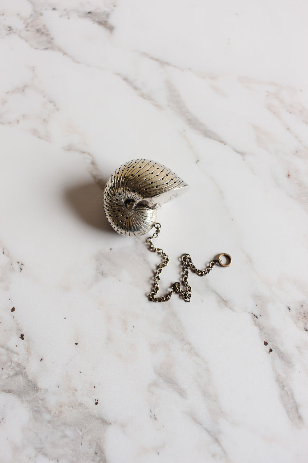 rare turn of the century Birmingham sterling silver nautilus tea strainer with monogram