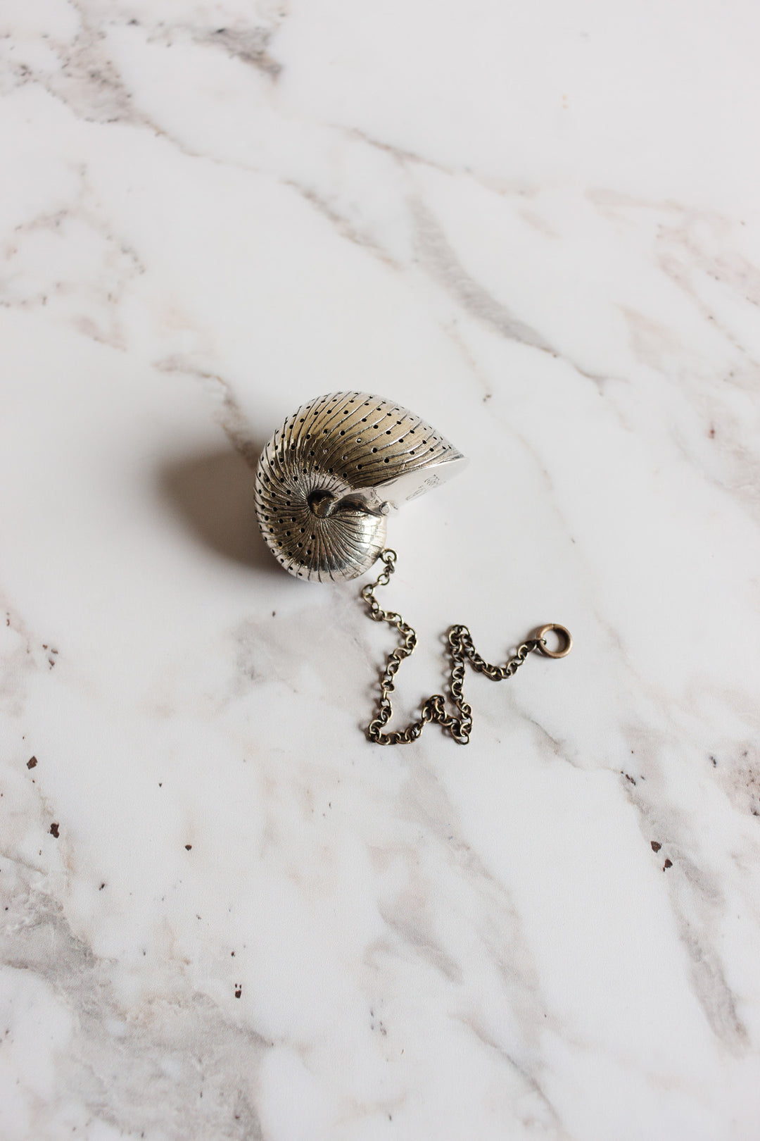 rare turn of the century Birmingham sterling silver nautilus tea strainer with monogram