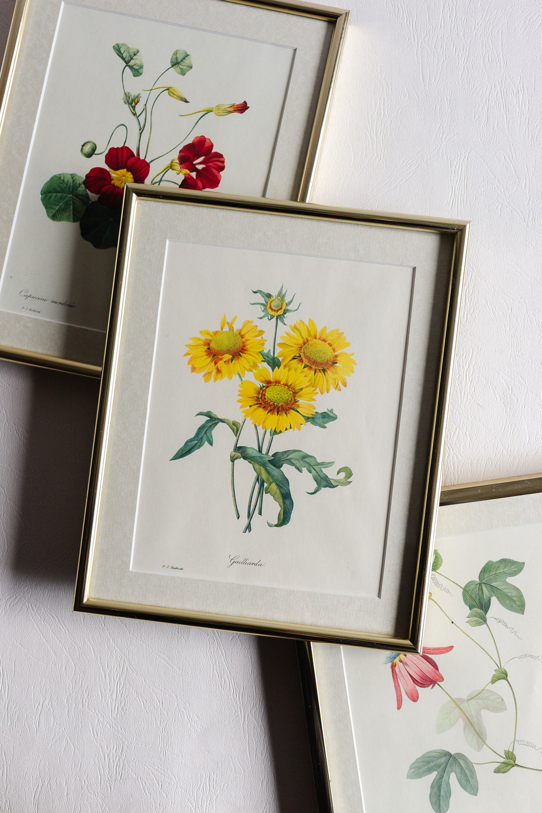 vintage framed floral lithograph by pj redouté