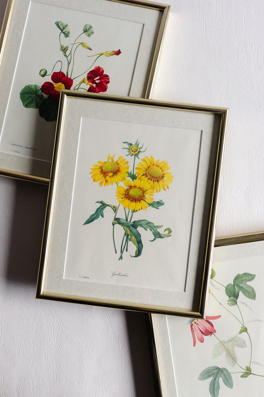 vintage framed floral lithograph by pj redouté
