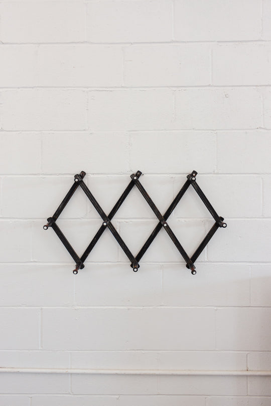 antique victorian accordian ebonized wood coat rack
