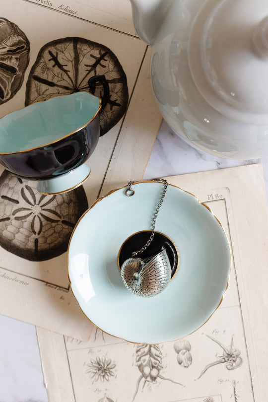 rare turn of the century Birmingham sterling silver nautilus tea strainer with monogram