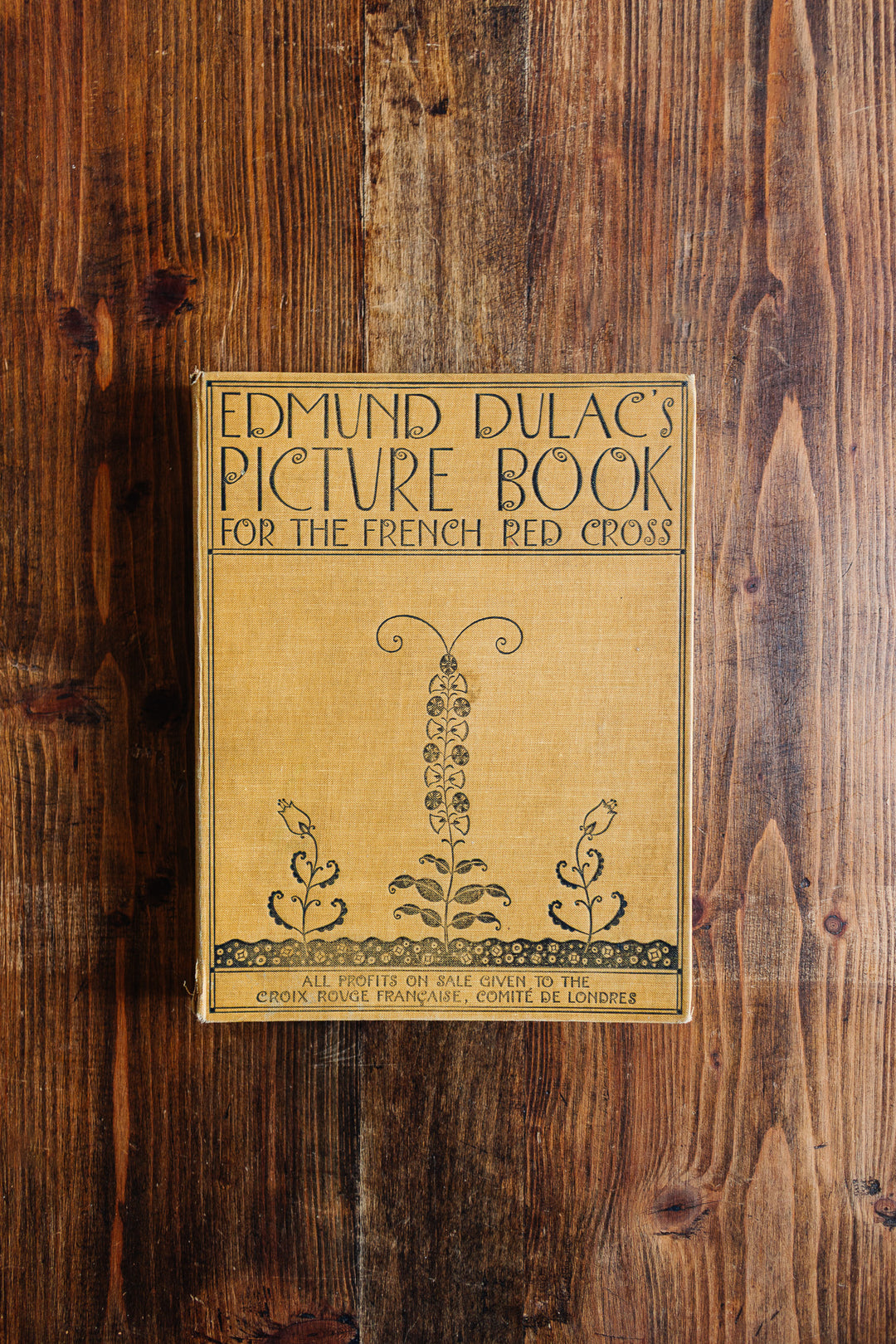 edmund dulac's picture book for the French red cross - forst edition circa 1915