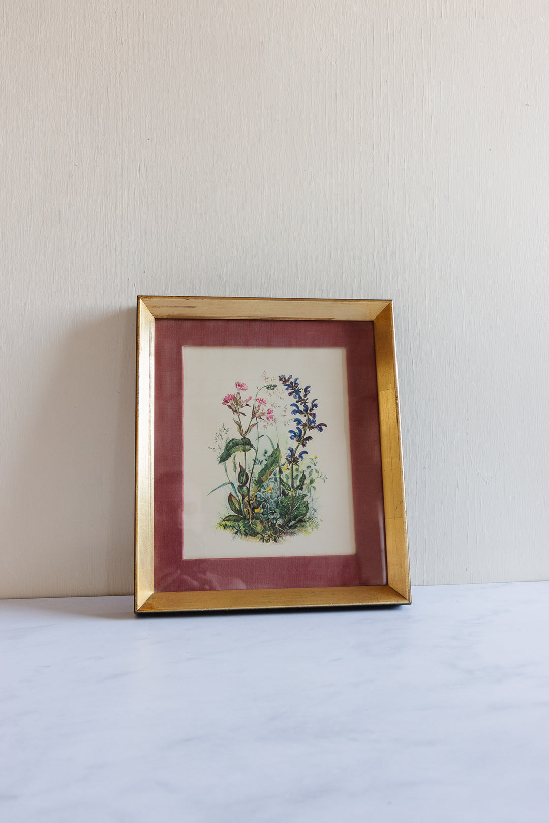 pair of vintage botanical studies, in the style of Patience Arnold