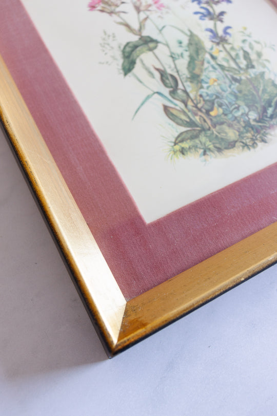 pair of vintage botanical studies, in the style of Patience Arnold