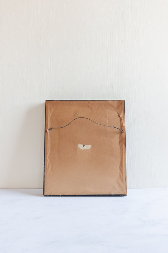 pair of vintage botanical studies, in the style of Patience Arnold