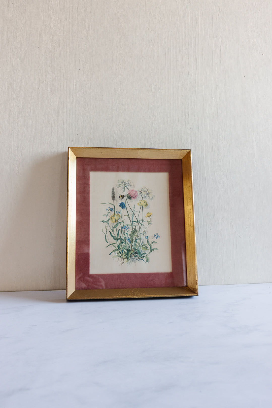 pair of vintage botanical studies, in the style of Patience Arnold