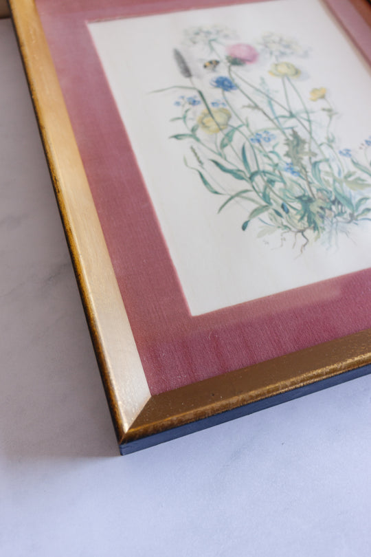 pair of vintage botanical studies, in the style of Patience Arnold
