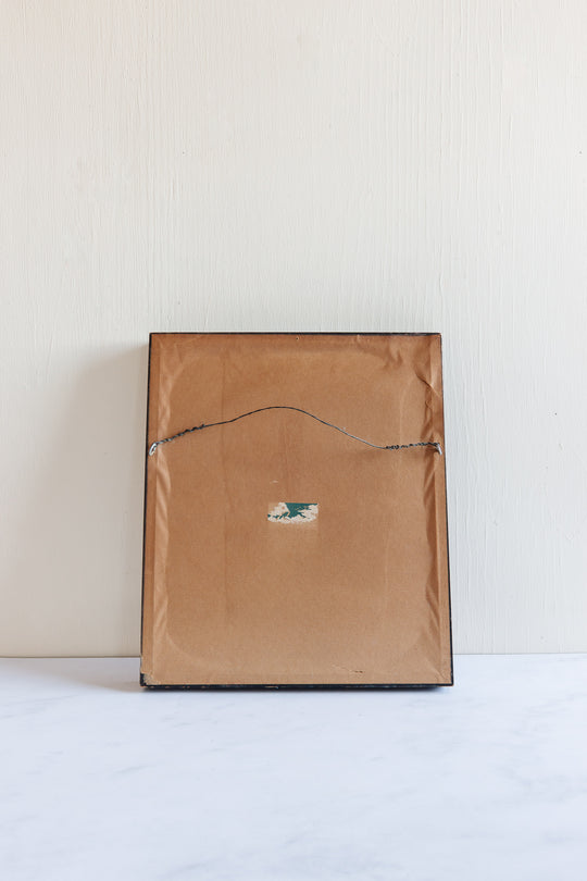 pair of vintage botanical studies, in the style of Patience Arnold