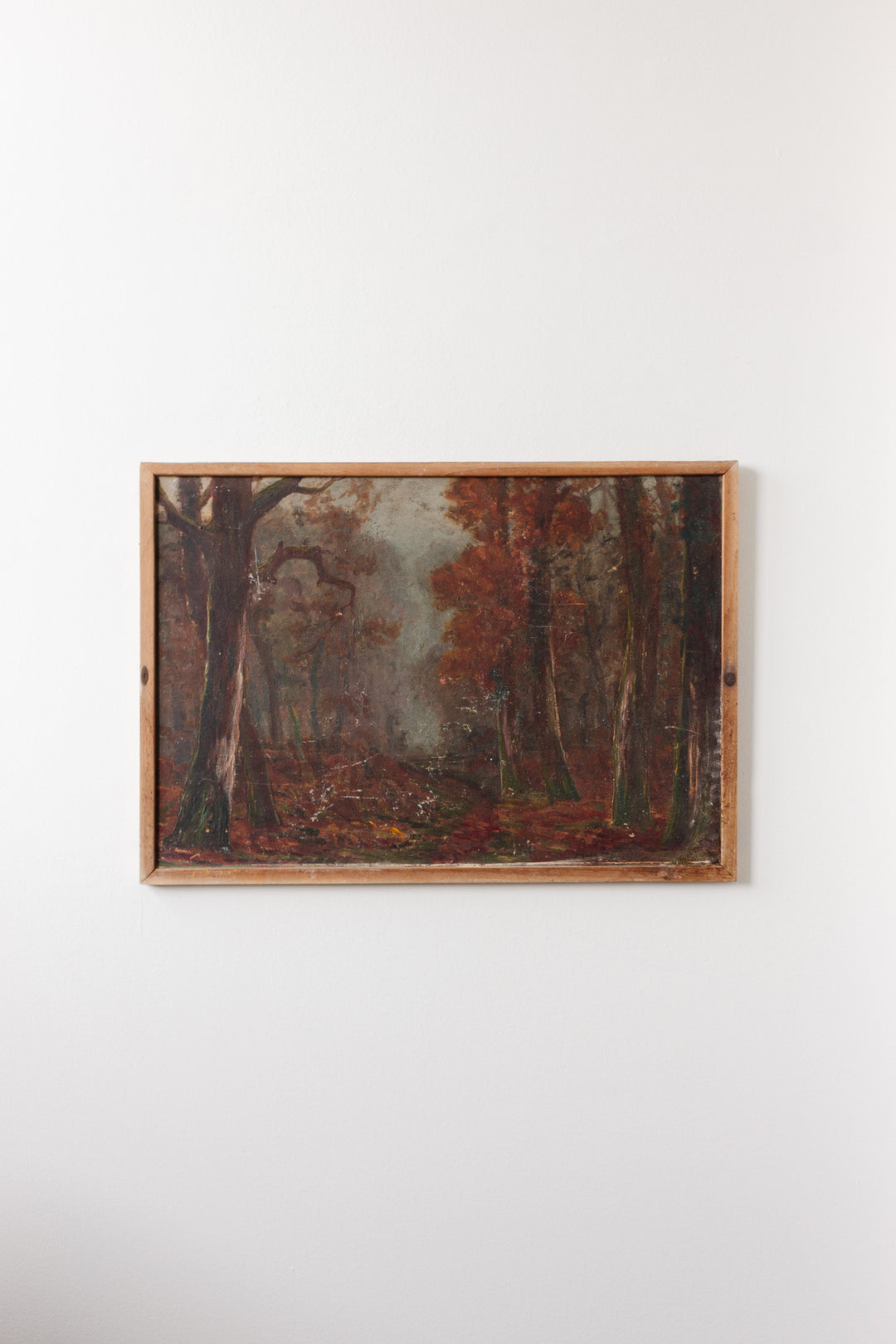 la forêt d'automne