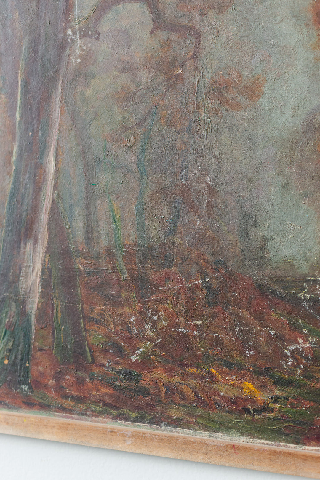 la forêt d'automne