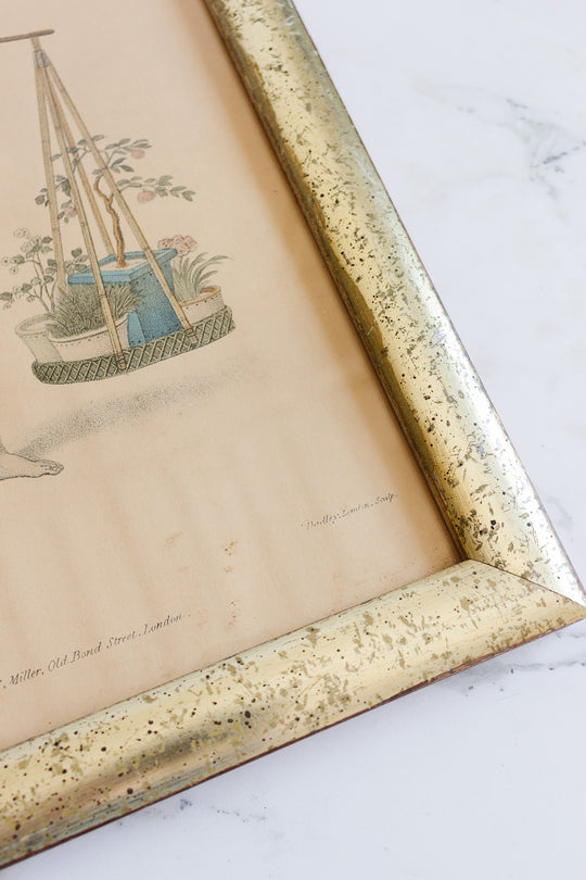 antique french chinoiserie hand tinted print