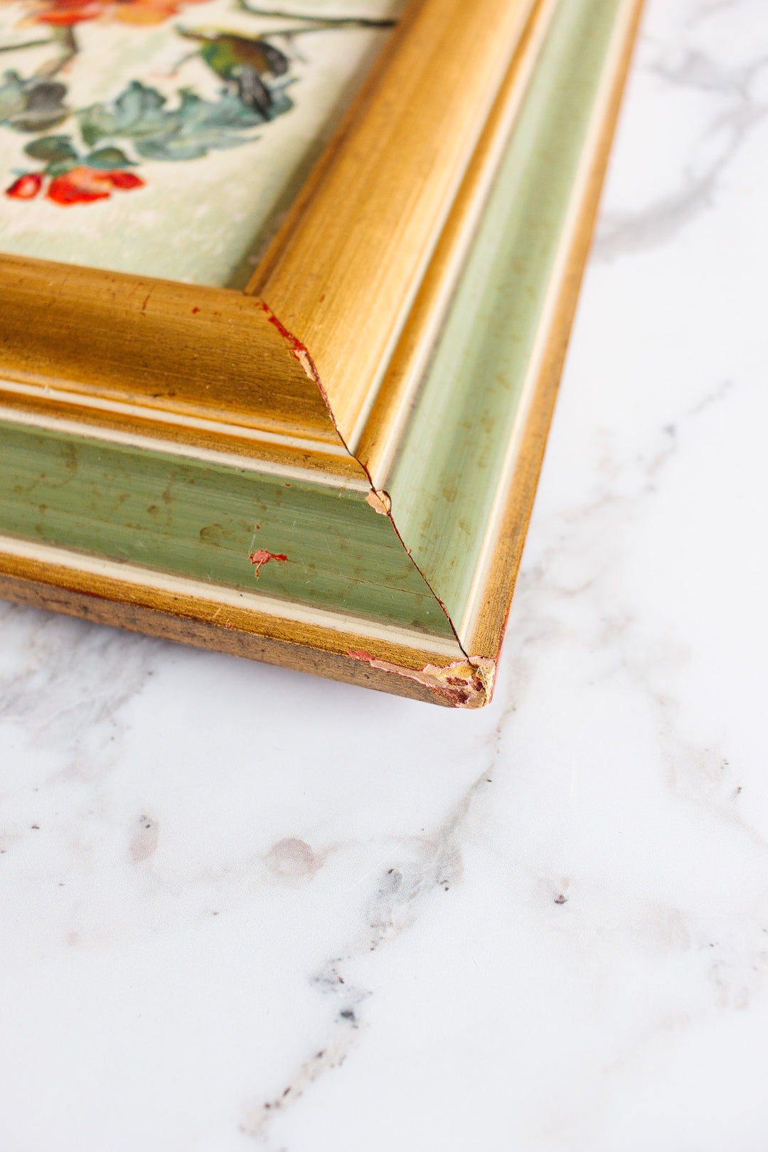 oiseau sur les fleurs