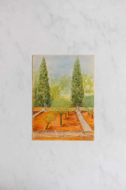 arbres dans le jardin