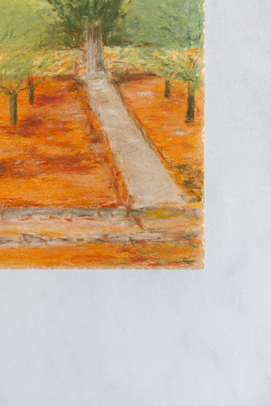 arbres dans le jardin