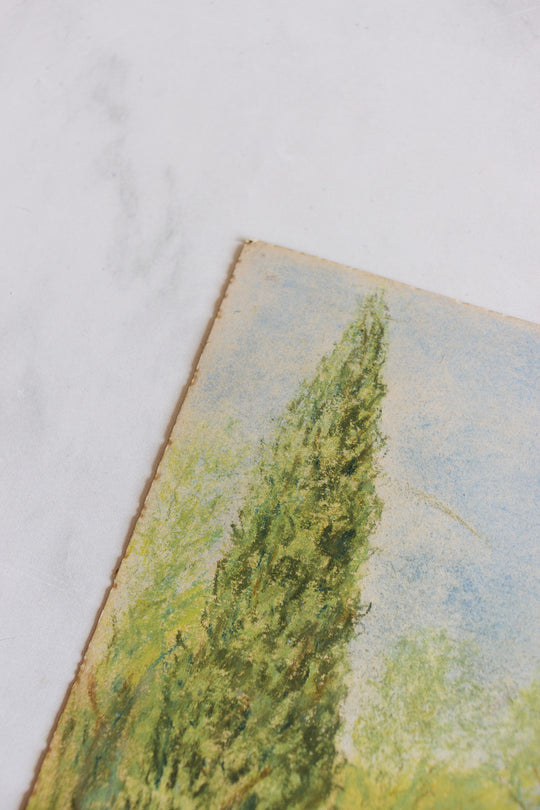 arbres dans le jardin