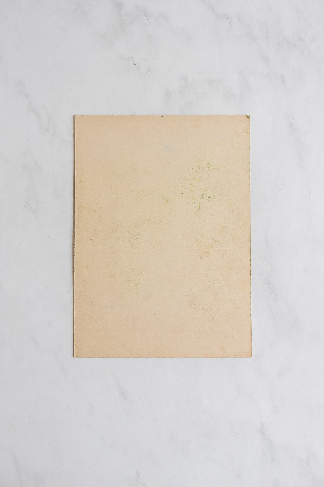 arbres dans le jardin