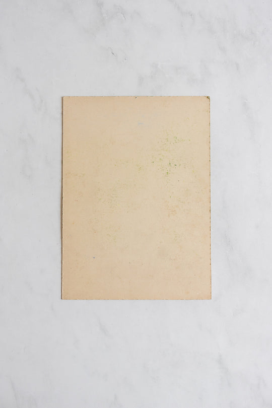 arbres dans le jardin