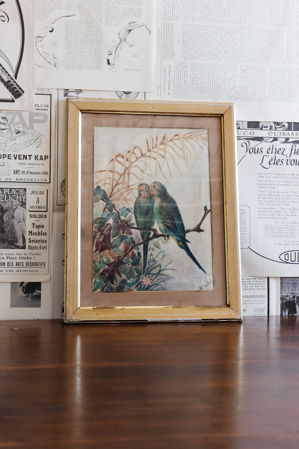 19th century french ornithological watercolour