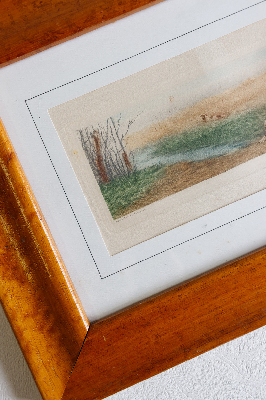antique french hand coloured engraving by madsen paris