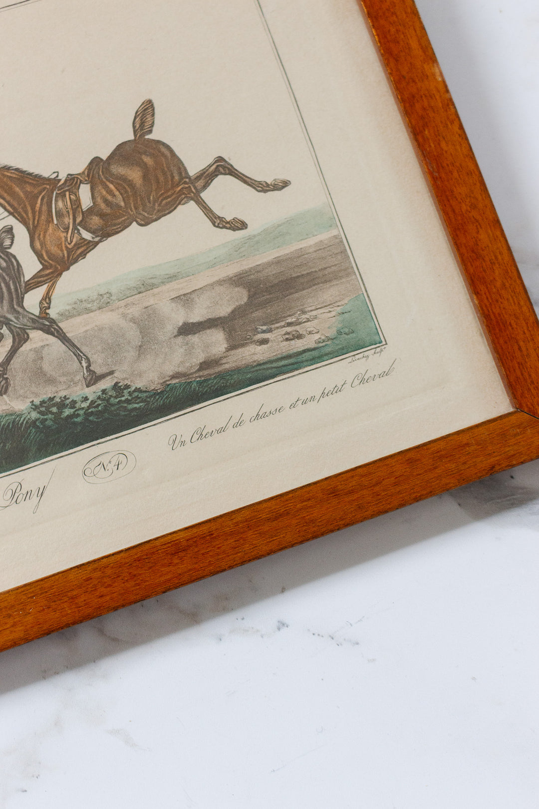 antique french equestrian hand coloured engravings by carle vernet