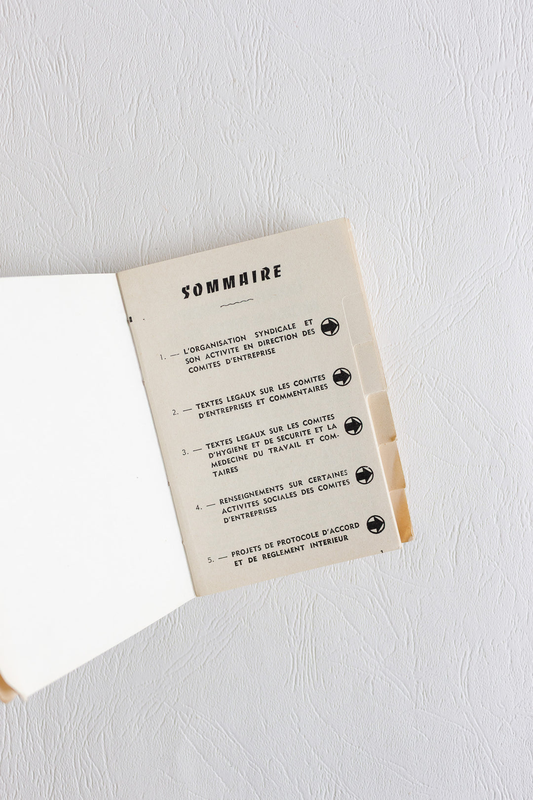 "practical guide for union members of French works councils" vintage book pair