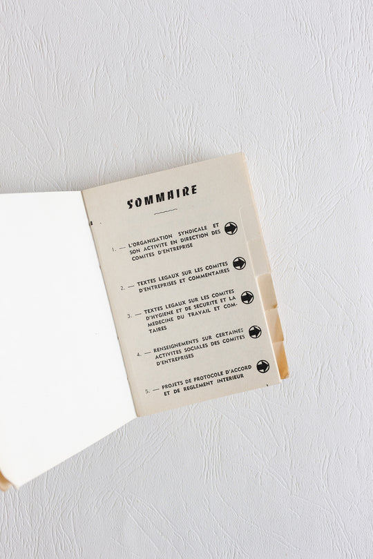 "practical guide for union members of French works councils" vintage book pair