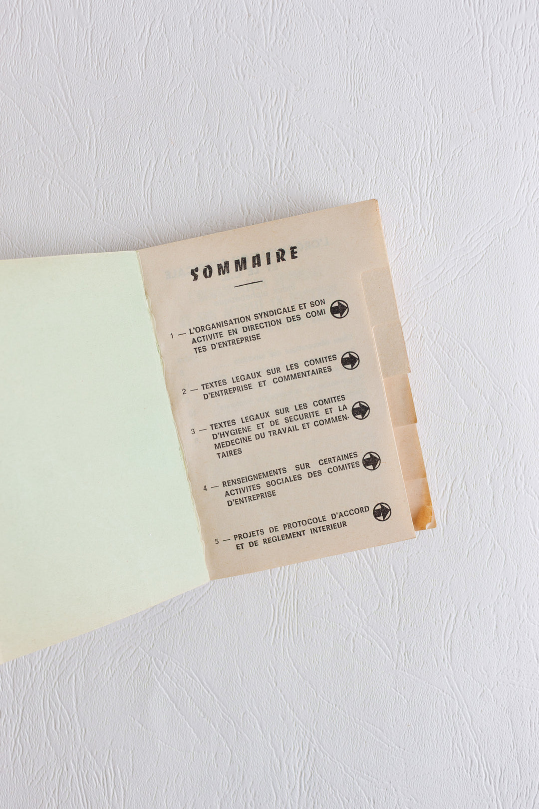 "practical guide for union members of French works councils" vintage book pair