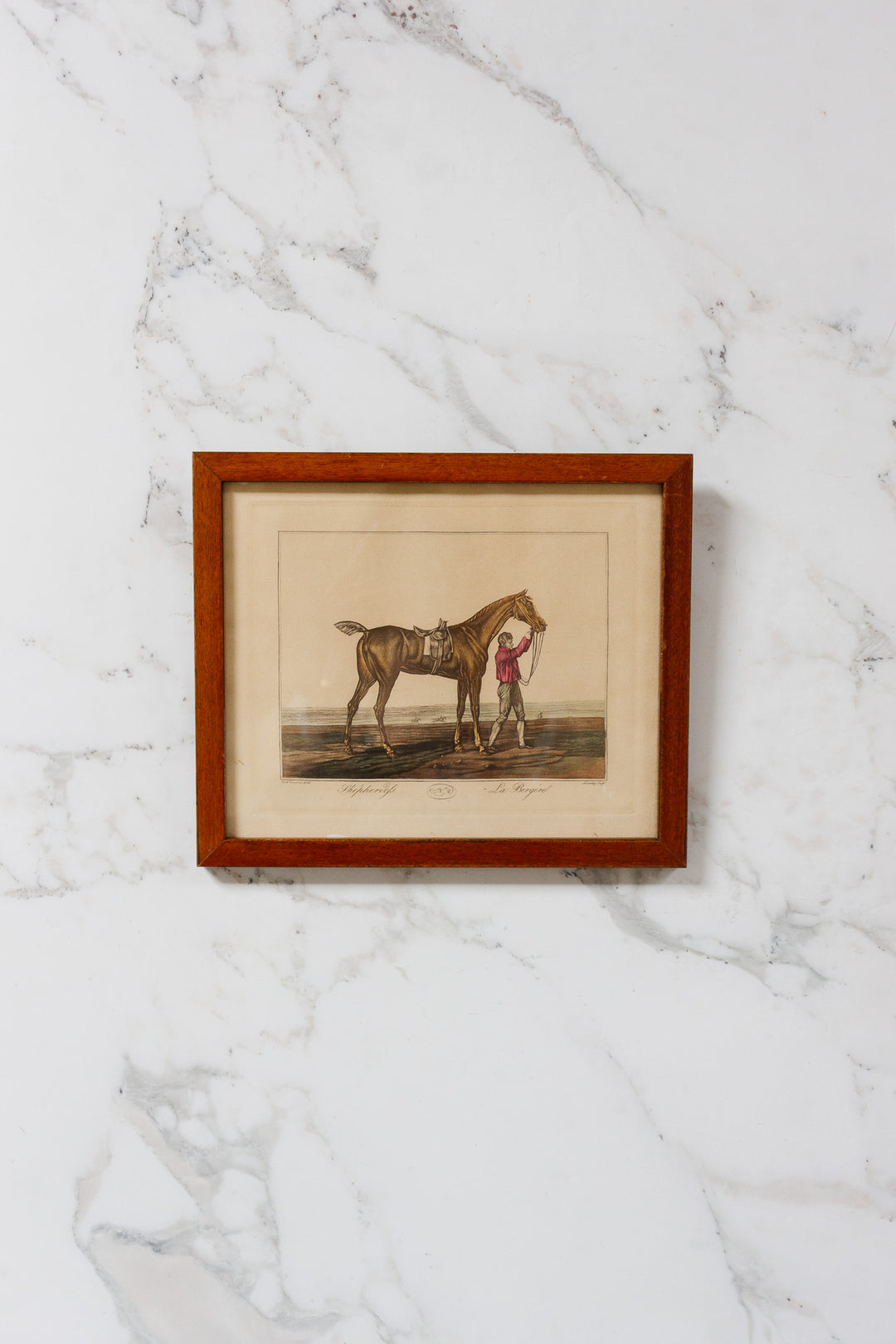 antique french equestrian hand coloured engravings by carle vernet