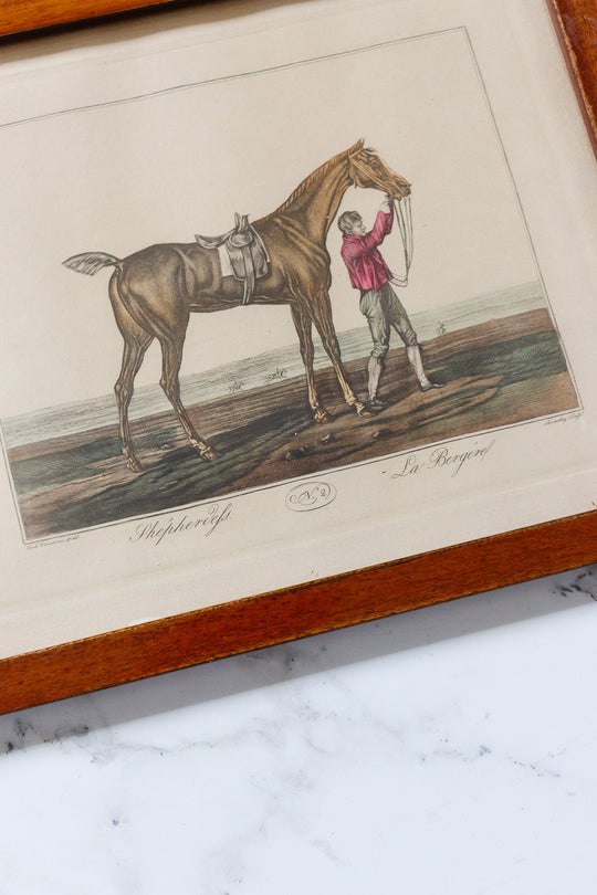 antique french equestrian hand coloured engravings by carle vernet