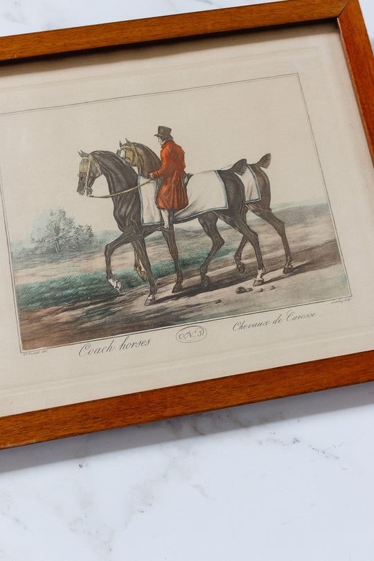antique french equestrian hand coloured engravings by carle vernet