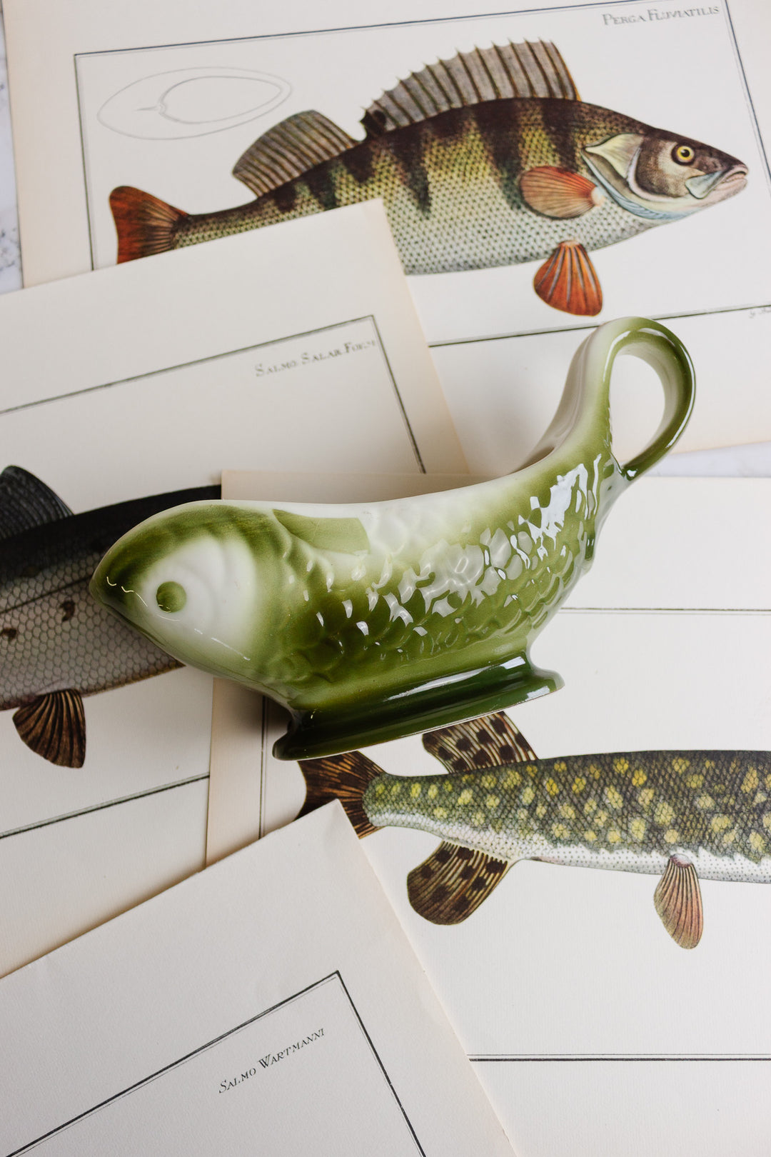moulin des loups orchies poisson gravy boat