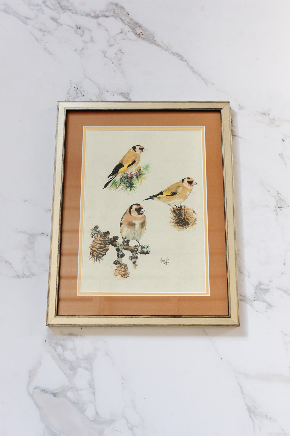 mélodie des oiseaux